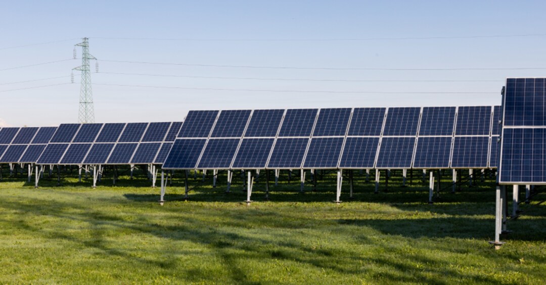 Agrivoltaico CVA e BF insieme per lo sviluppo di 150 MW in Emilia